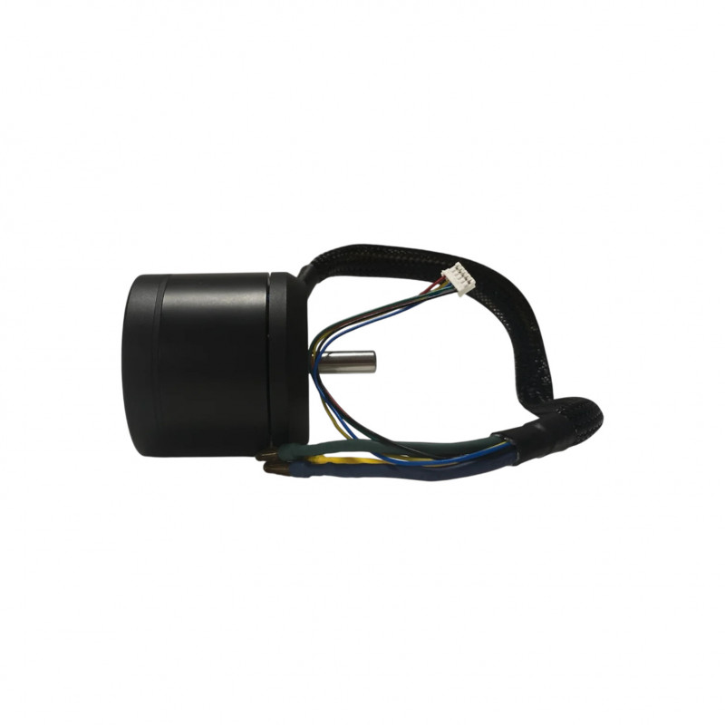 Moteur 1800W pour Xplorer V1 - Skateboard Électrique Evo-Spirit