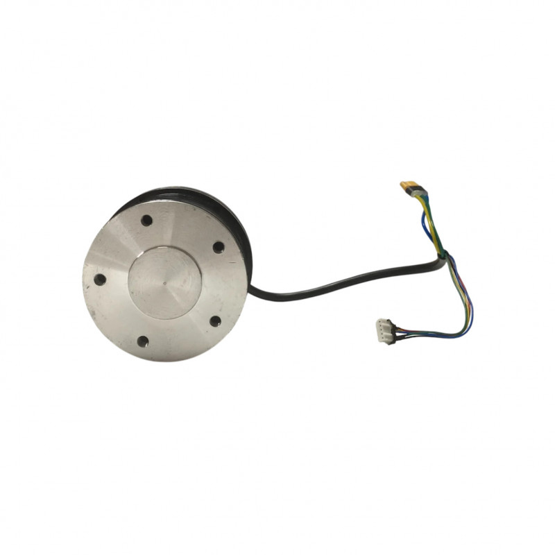 Moteur 600W pour Cruz V2 - Skateboard Électrique Evo-Spirit