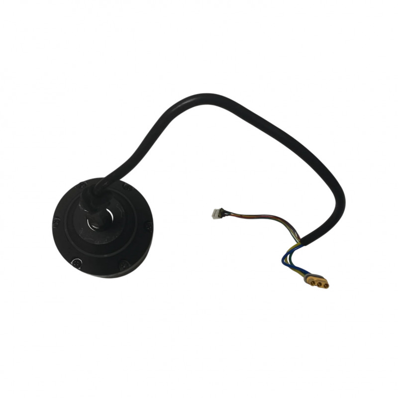 Moteur 600W pour Cruz V2 - Skateboard Électrique Evo-Spirit