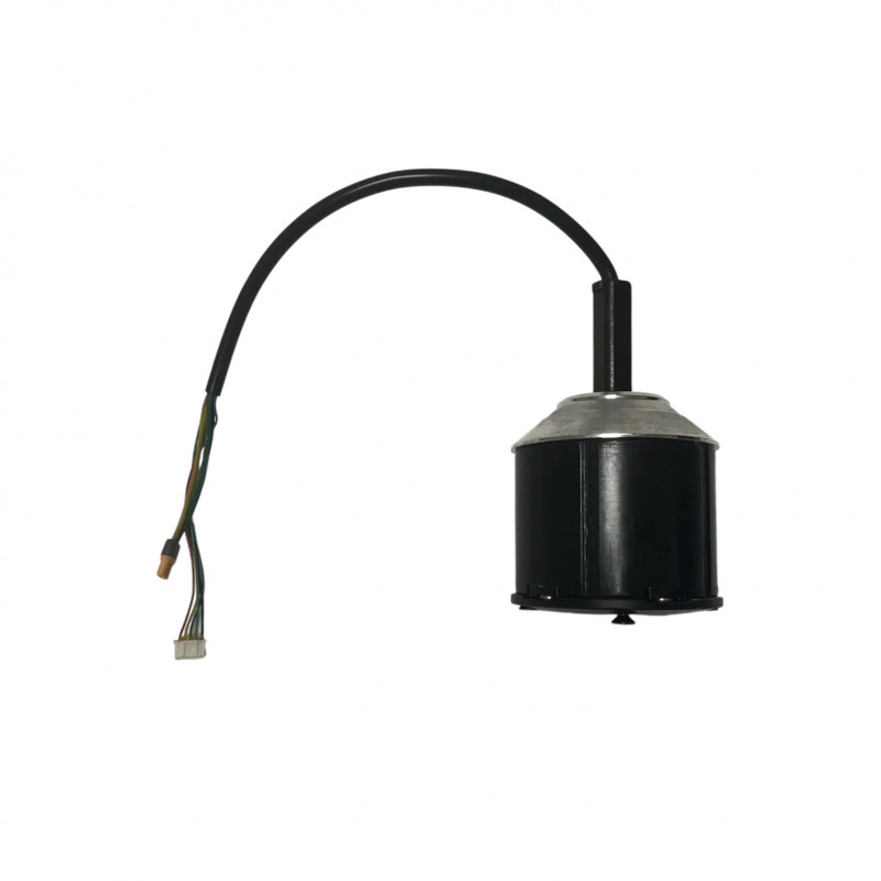 Moteur 600W pour Curve V4 1ère génération - Skateboard Électrique Evo-Spirit