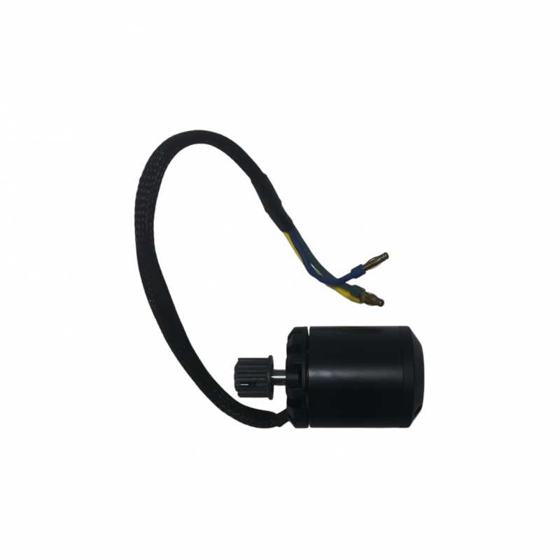 Moteur 1000W