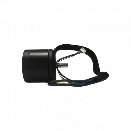 Moteur 1800W pour Xplorer V1 - Skateboard Électrique Evo-Spirit